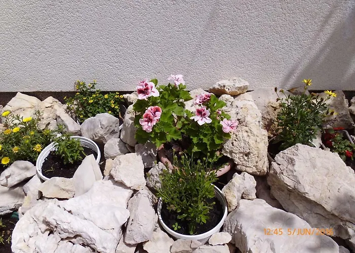 Lidija Апартаменты Паг