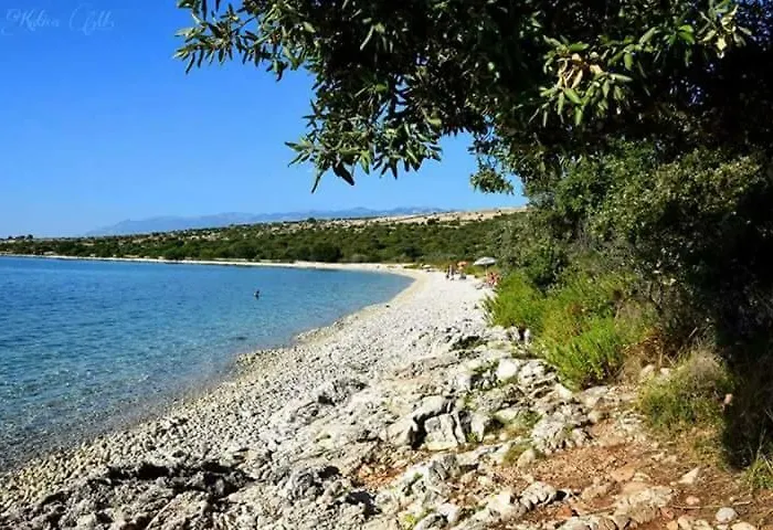 Lidija * Pag Town