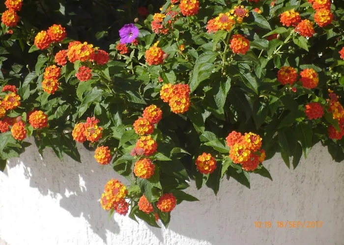 Апартаменты Lidija