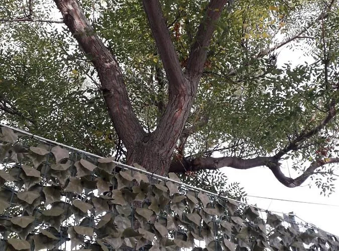 Lidija Апартаменты *